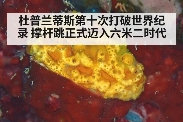 杜普兰蒂斯第十次打破世界纪录 撑杆跳正式迈入六米二时代